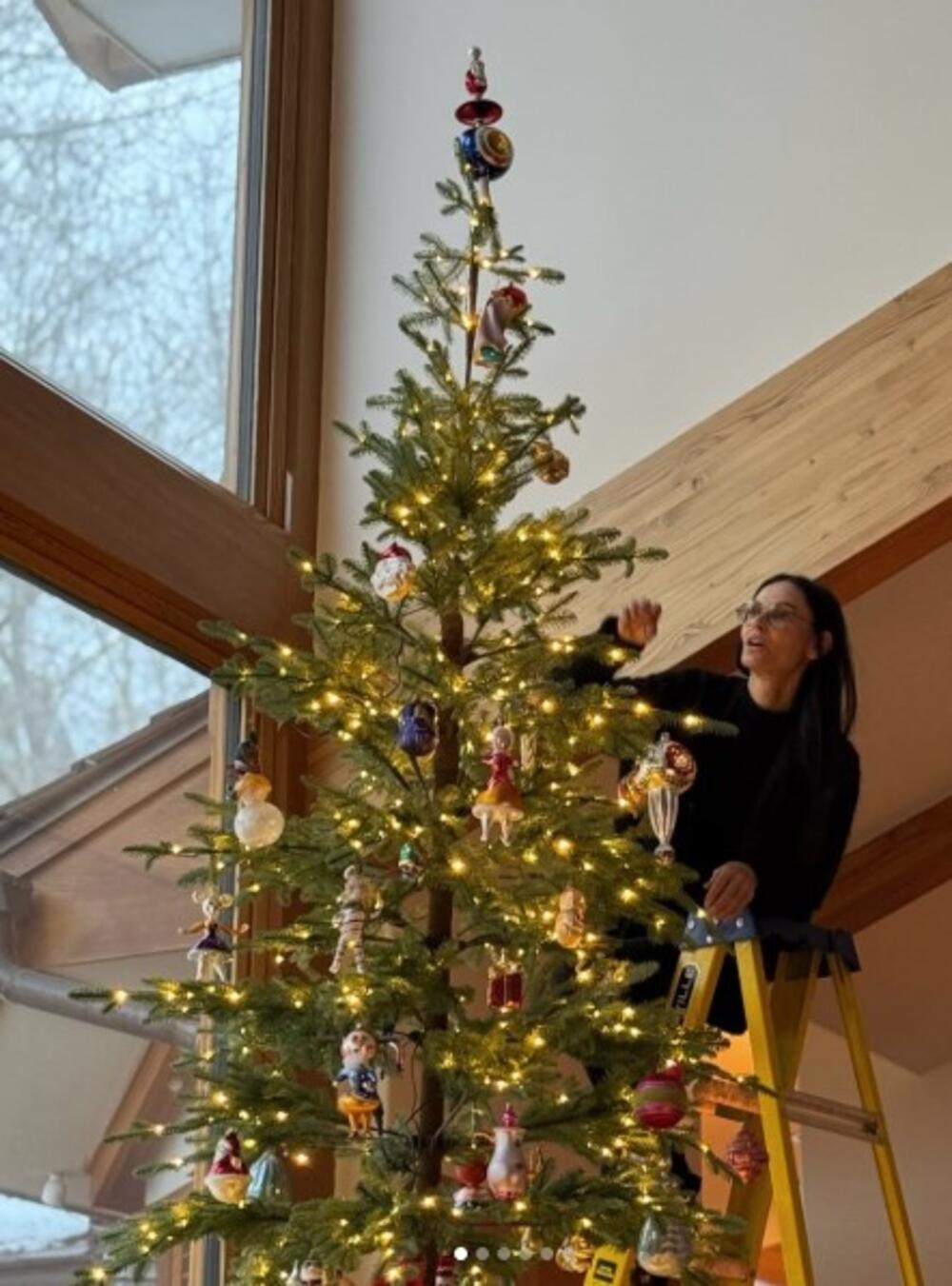 Prošlogodišnja jelka Demi Mur