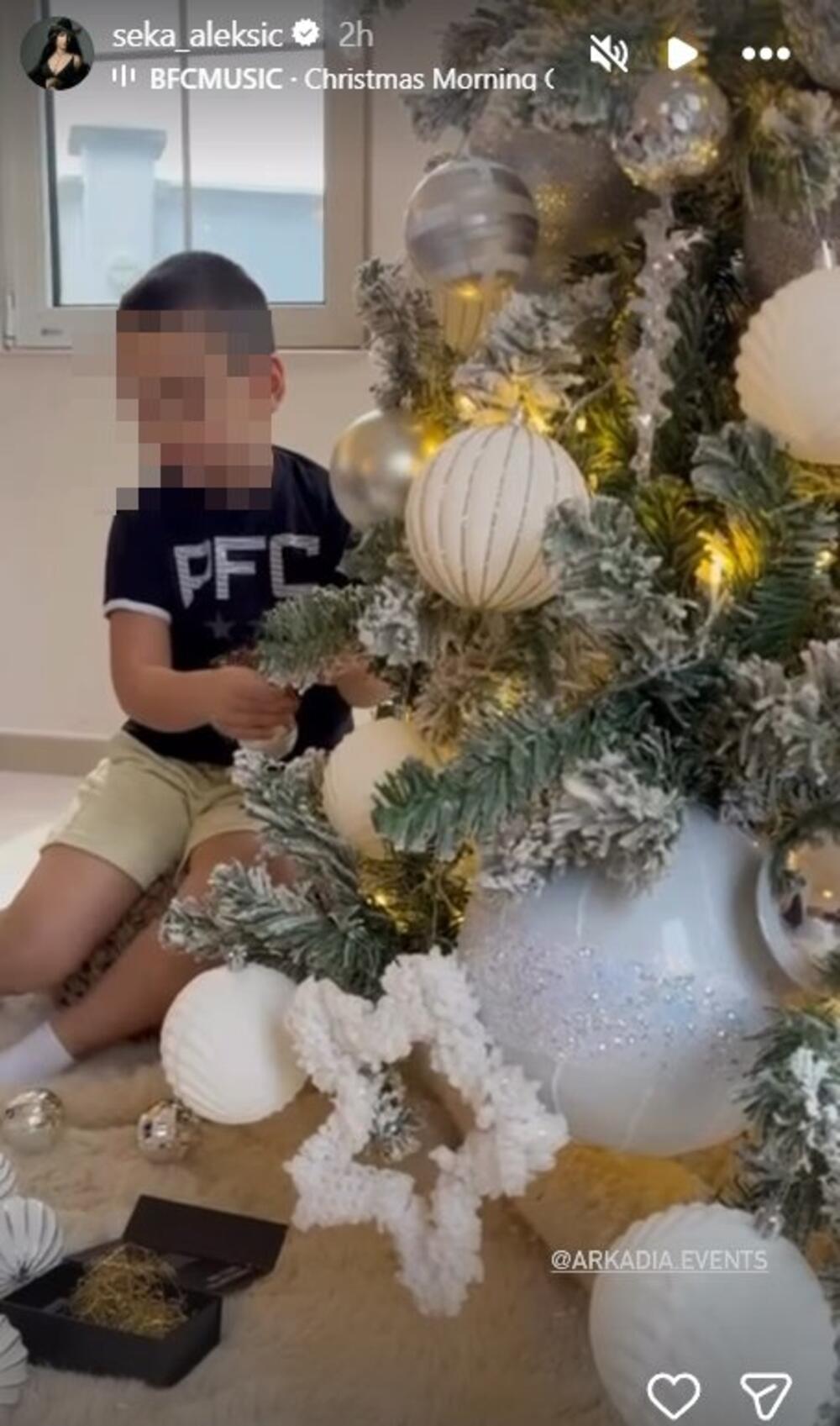 Seka Aleksić, Novogodišnja jelka