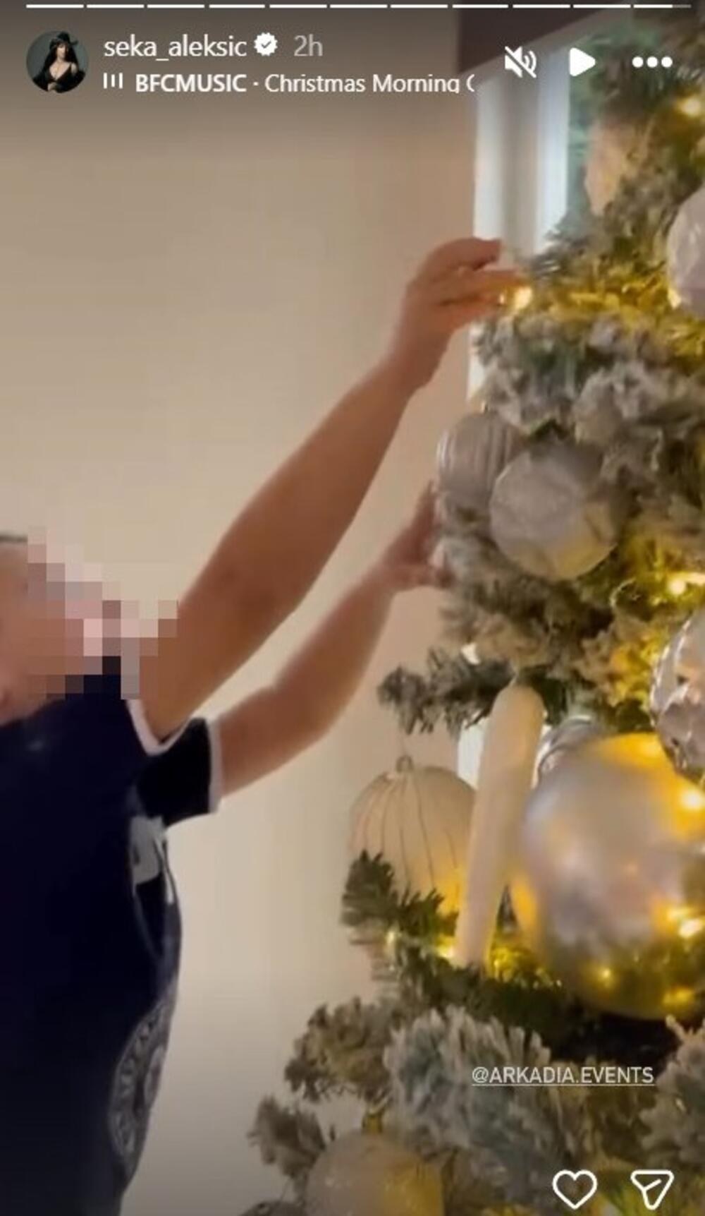 Seka Aleksić, Novogodišnja jelka