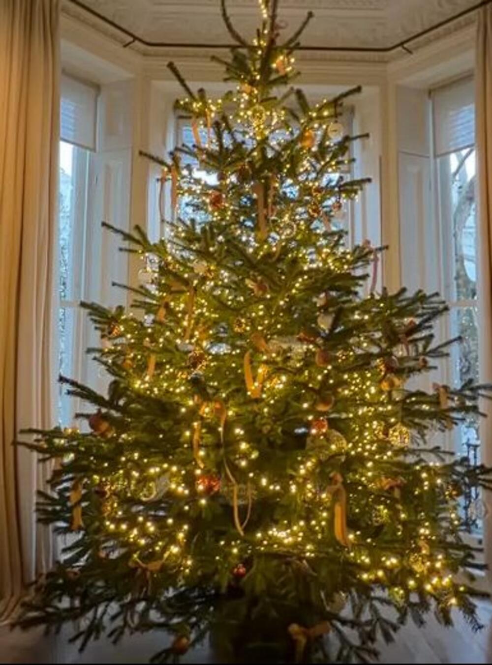 Jelka Viktorije Bekam