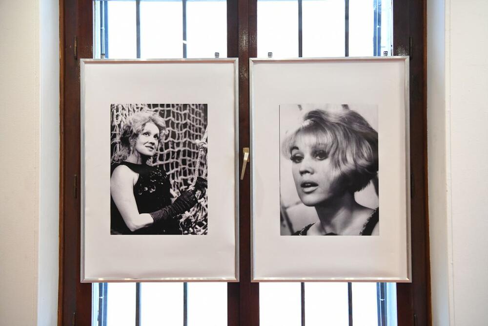 Portreti Ružice Sokić