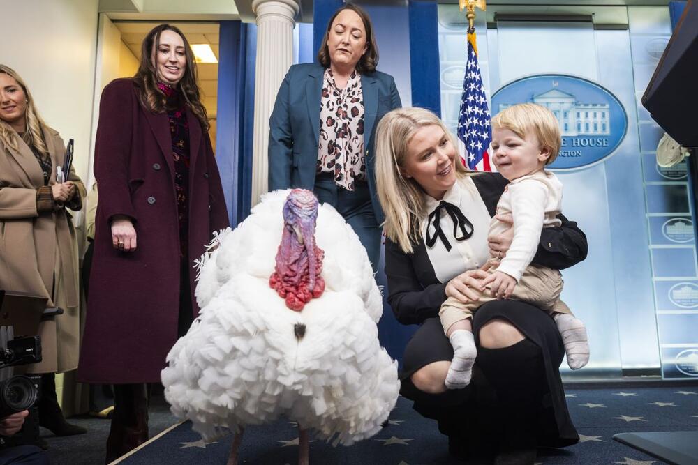 Kerolajn Levit je najmlađa sekretarka za štampu u istoriji Bele kuće