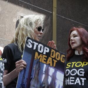 Strah ju je paralisao, gušila se i zatvarala u kuću: Ćerka Kim Besindžer objavila retku fotografiju majke i iznenadila