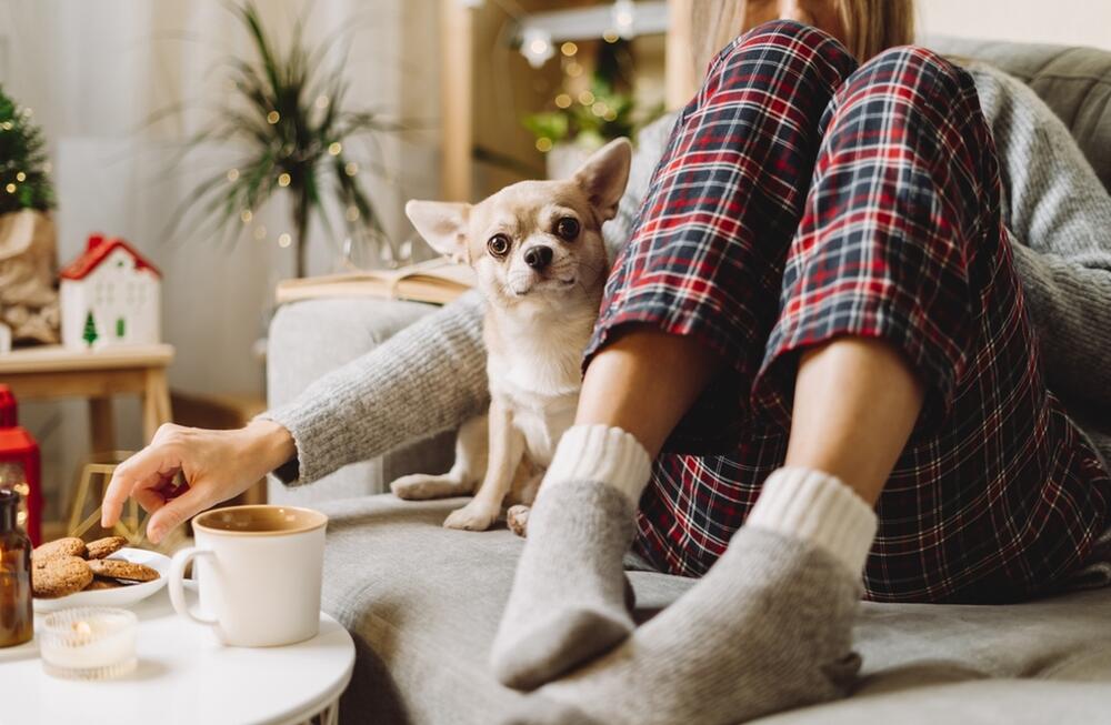 DNEVNI HOROSKOP ZA 23. DECEMBAR 