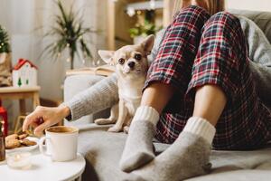 Dnevni horoskop za 23. decembar: Vodolije "vrte filmove po glavi", Vage su spremne za flert, ali gde ih on vodi?