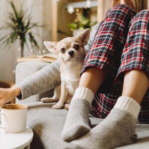 Dnevni horoskop za 23. decembar: Vodolije "vrte filmove po glavi", Vage su spremne za flert, ali gde ih on vodi?