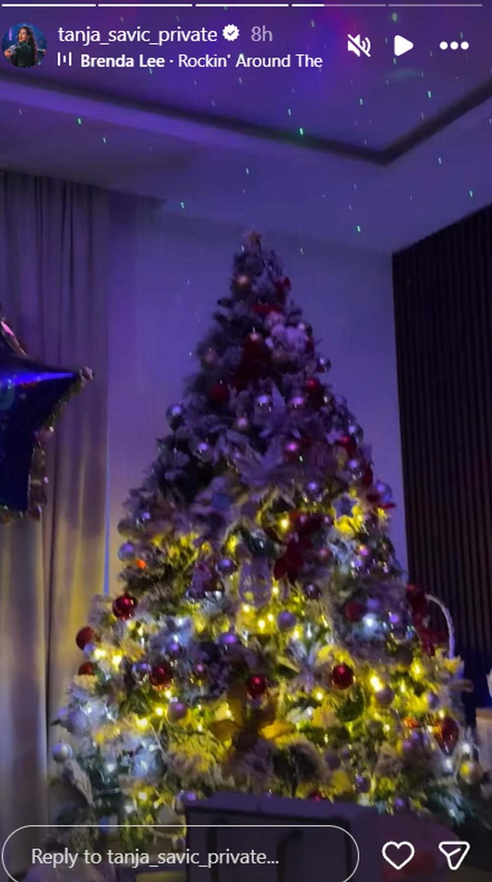 Tanja Savić, Novogodišnja jelka