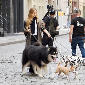 Pas joj ujeo sina, a glumica reakcijom naljutila fanove: "Obožavao sam je, ovo je takvo razočarenje..."