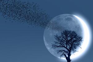 Prvi mlad mesec u 2026. godini donosi tektonske promene: Astro prognoza za svaki horoskopski znak (18. januar)