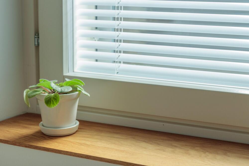 PRETERANO ZALIVANJE MOŽE DA POTPUNO UNIŠTI LJUBIČICU 