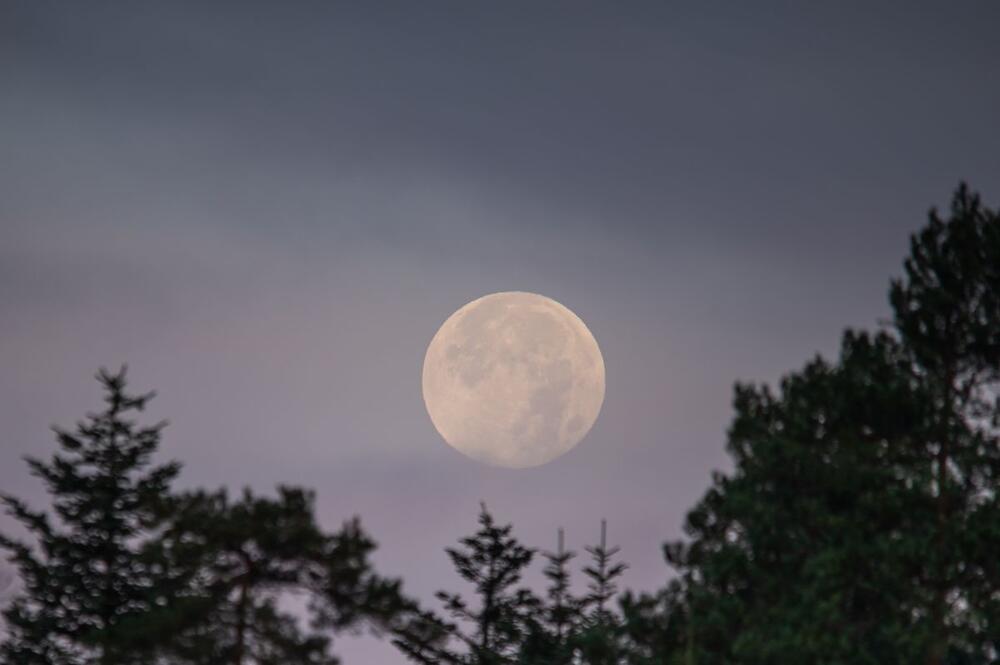 Kako će pun mesec u Lavu uticati na vaš horoskopski znak?