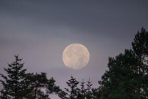 Jarčeve muči prošlost, Ovnovi završavaju projekat: Astro prognoza za pun mesec u Lavu za svaki znak (od 1. februara)