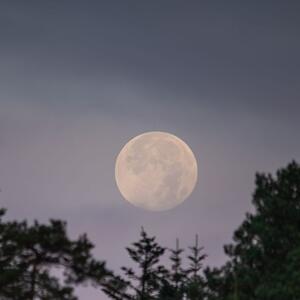 Jarčeve muči prošlost, Ovnovi završavaju projekat: Astro prognoza za pun mesec u Lavu za svaki znak (od 1. februara)