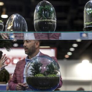 Kako napraviti kokedamu? Lebdeća bašta je hit koji osvaja svet, nema zemlje, ne treba vam ni saksija (korak po korak)