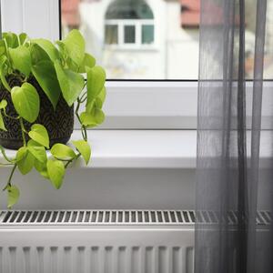 Lišće je počelo da vene i opada? Evo koja je najčešća greška zimi koju pravimo, a koja uništava biljke