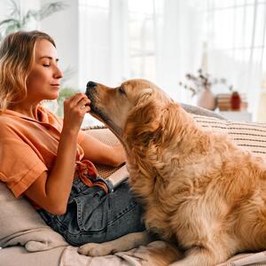 Ponestalo vam je hrane za psa? Evo koje namirnice nikako ne smete da mu date &ndash; mogu biti opasne za vašeg ljubimca