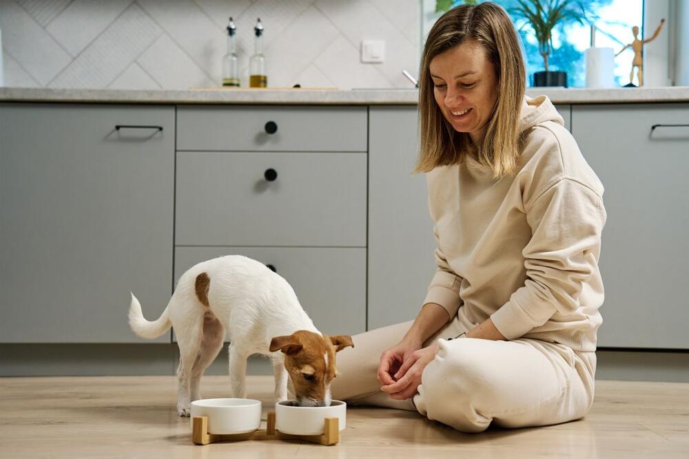 Koju hranu smete, a koju ne smete da date svom ljubimcu?