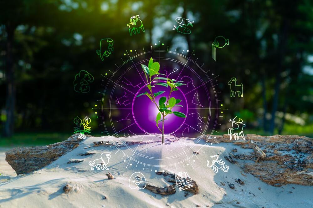 VELIKI MESEČNI HOROSKOP ZA FEBRUAR