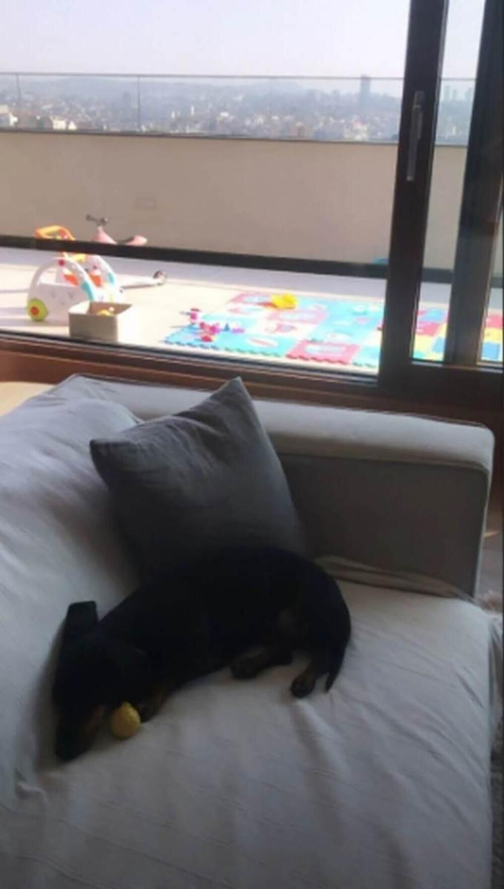 <p>Glumica se&nbsp;nakon brojnih obaveza rado vraća u svoje malo porodično gnezdo, gde uživa u svakom trenutku provedenom sa decom i suprugom kada nije van zemlje&nbsp;</p>