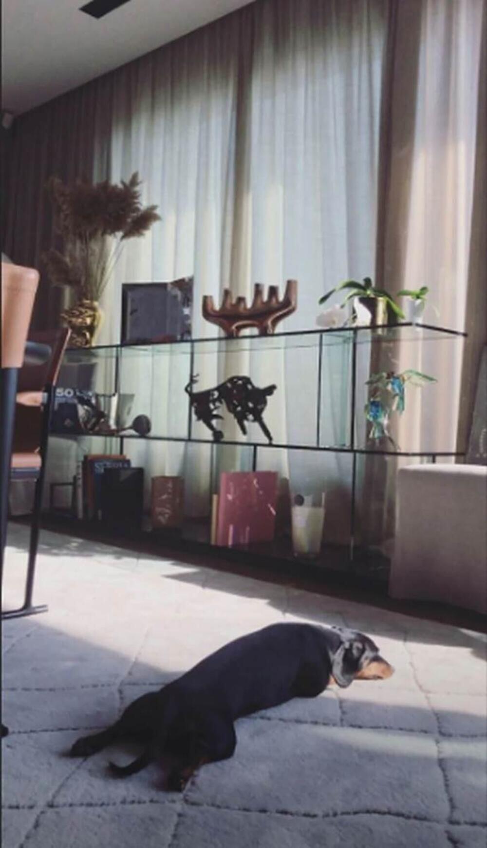 <p>Glumica se&nbsp;nakon brojnih obaveza rado vraća u svoje malo porodično gnezdo, gde uživa u svakom trenutku provedenom sa decom i suprugom kada nije van zemlje&nbsp;</p>