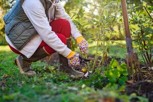 5 stvari koje treba da uradite SADA da biste imali predivan vrt na proleće: Evo kako da pripremite baštu za novu sezonu