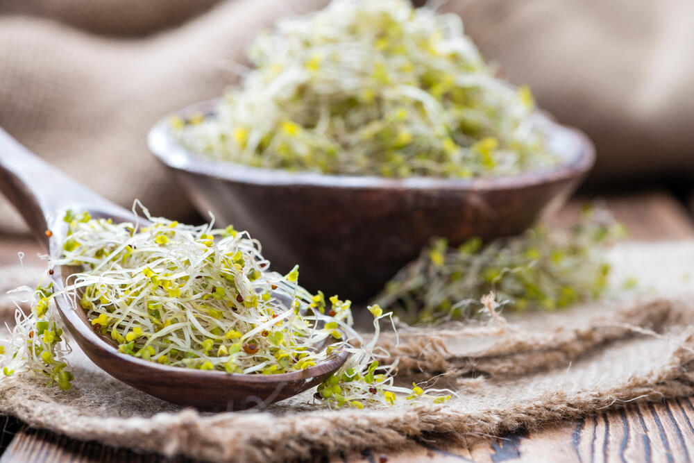 Klice brokolija sadrže vitamine A, C, K i kalijum, što ih čini korisnim za imunitet, zdravlje kože i kardiovaskularni sistem, ali i protiv bakterija