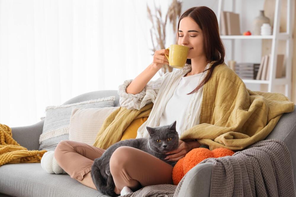 foto: Shutterstock/Pixel-Shot