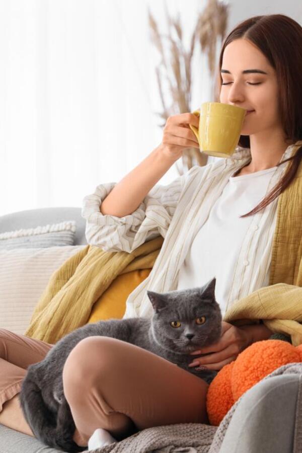 Evo koji napitak bi trebalo češće da pijete! Čuva srce, pomaže kod problema sa varenjem i čini da brže zaspite