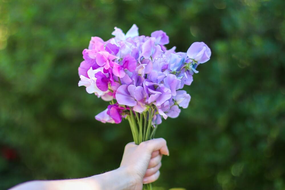 foto: Shutterstock/MarinaMWalker