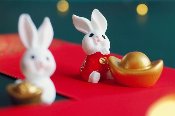 Procvat na poslu, u ljubavi i duši: 5 znakova kojima martovski Zec iz kineskog Zodijaka donosi sreću