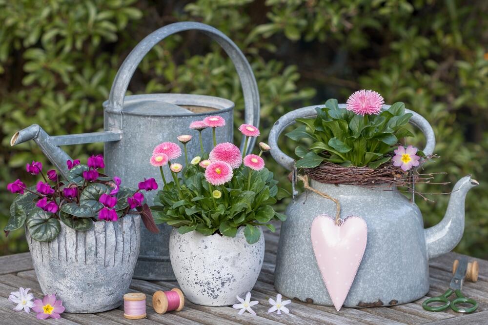 Tratinčice tolerišu i svežije prolećne dane i večeri