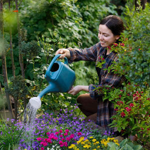 Ujutru, uveče ili tokom dana &ndash; koje je najbolje doba dana za zalivanje bašte? Svi stručnjaci imaju isti savet