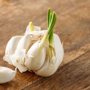 Šta kada beli luk proklija &ndash; da li može da se jede ili ga treba podhitno baciti?
