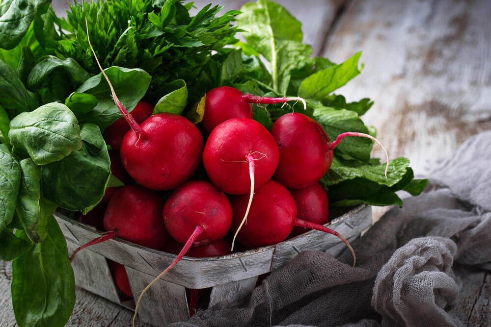 Kako izgledaju sveže rotkvice?