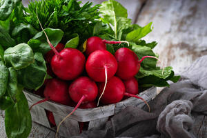 Kako prepoznati sveže rotkvice na pijaci?