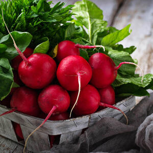 Kako prepoznati sveže rotkvice na pijaci?