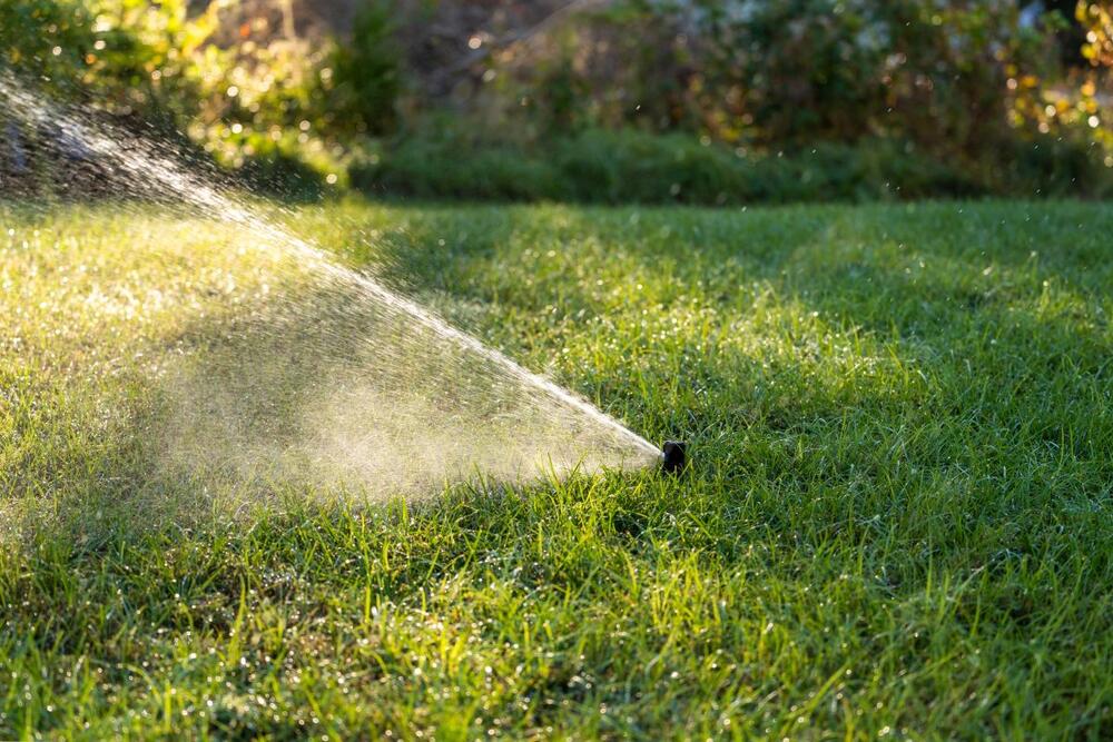 Zalivanje trave