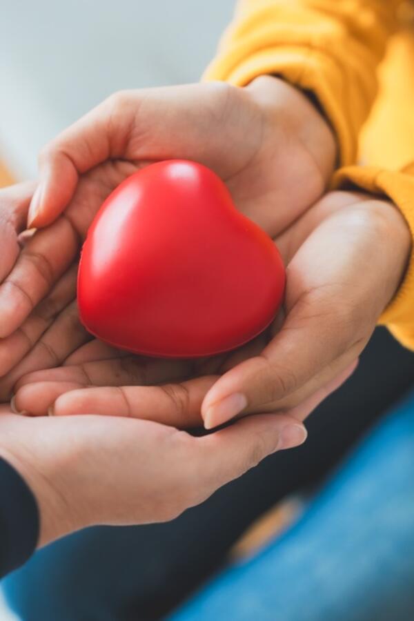 Kako prirodno sniziti holesterol? 8 sitnica koje mogu da vam očiste arterije, sačuvaju srce i produže život