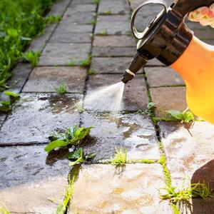 Kako napraviti prirodno sredstvo za uništavanje korova? Samo 3 sastojka i sve se suši za samo dan, dva