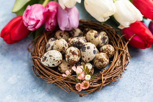 Kako ofarbati prepeličja jaja? 4 koraka do najlepših pastelnih (prirodnih) ili jarkih (kupovnih) boja
