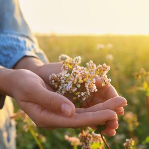 Vernici kažu &ndash; uradi ovo na Veliki petak i san će ti pokazati budućnost! Prelep srpski običaj koji se održao vekovima