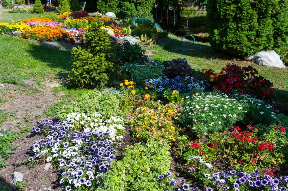 foto: Shutterstock / MEDIANA