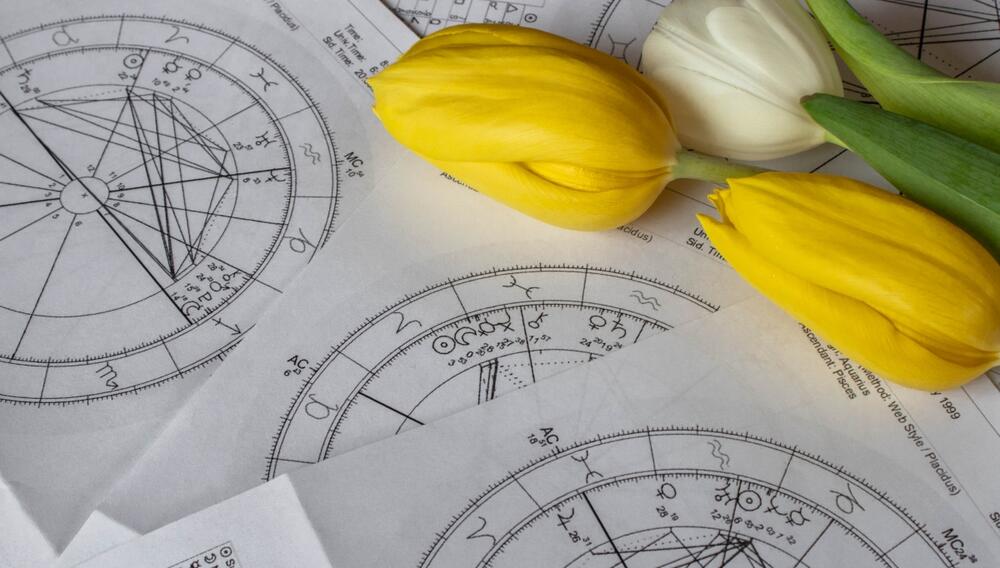 foto: Shutterstock/Bada1