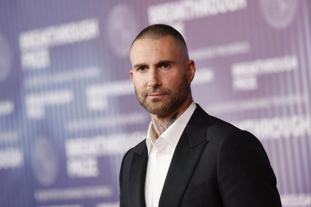 Adam Levin dolazi iz porodice koja poseduje luksuzni maloprodajni lanac M. Frederic. Takođe je pohađao elitnu školu u Brentvudu, u Los Anđelesu, gde je upoznao dva buduća člana svog benda Maroon 5.