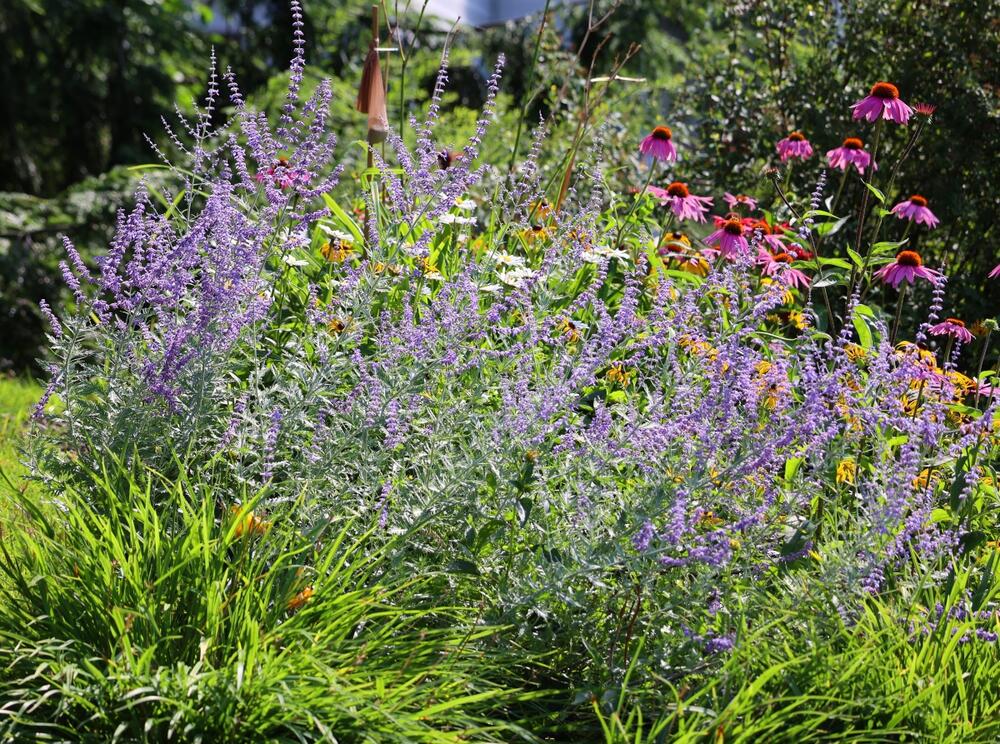 Koje cveće se ne orezuje u aprilu?