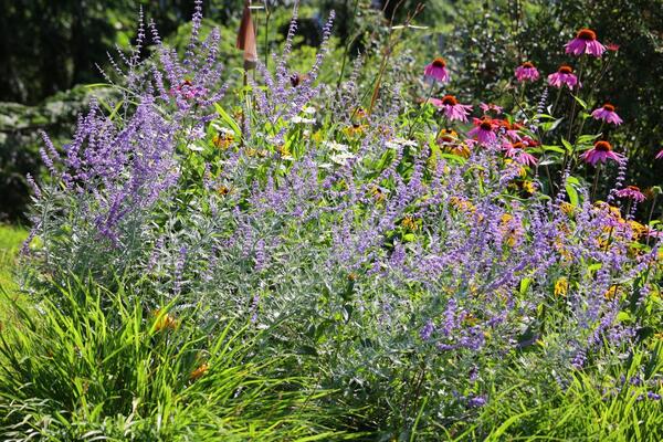 9 biljaka koje nikada ne bi trebalo da orezujete u aprilu: Ovo cveće ostavite na miru ako ne želite da ga upropastite