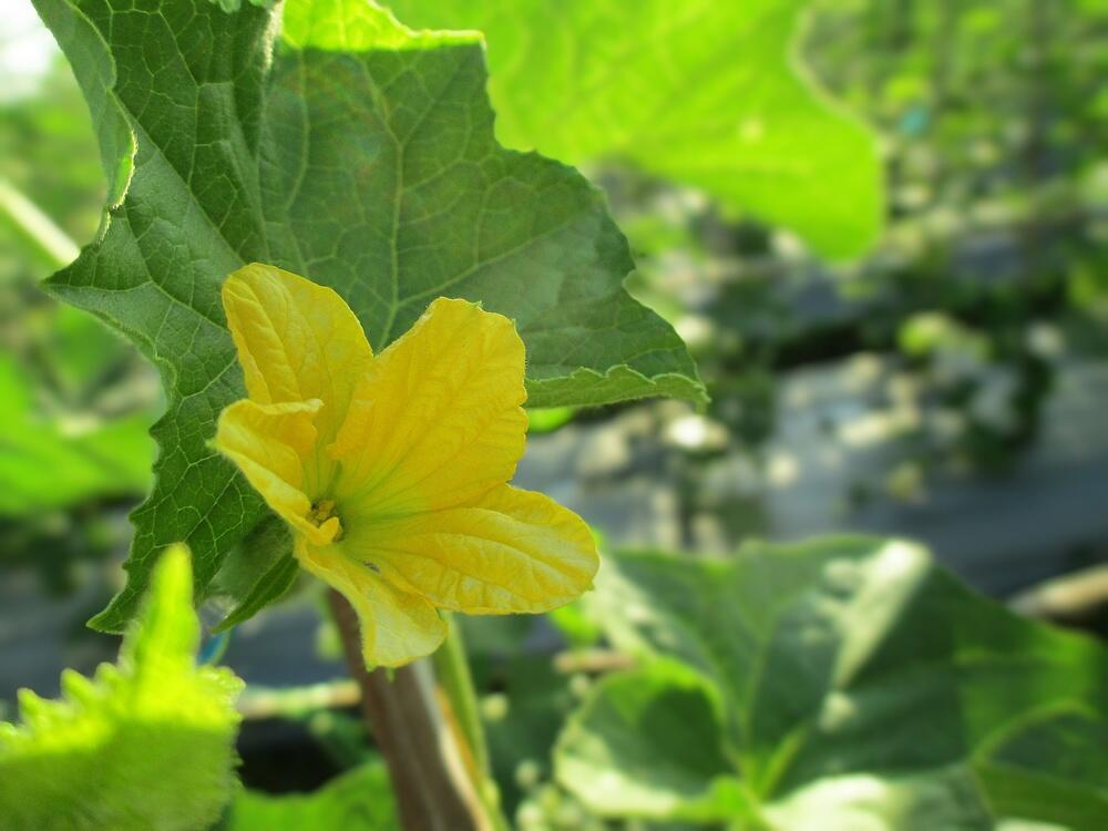 foto: Dita Arta/Shutterstock