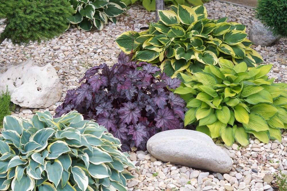 HOSTE SU VEOMA ZAHVALNE ZA ODRŽAVANJE 