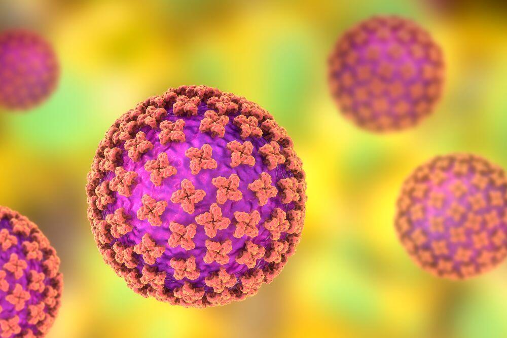Hantavirus prenose glodari, a ljudi se zaražavaju udisanjem čestica iz osušenog izmeta glodara.