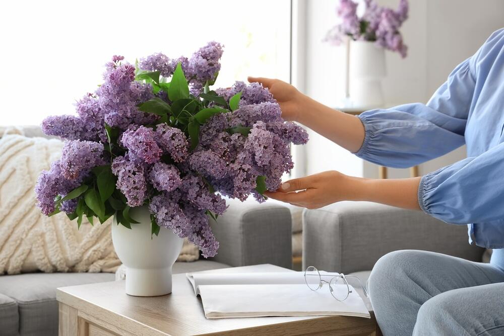 foto: Shutterstock / Pixel-Shot